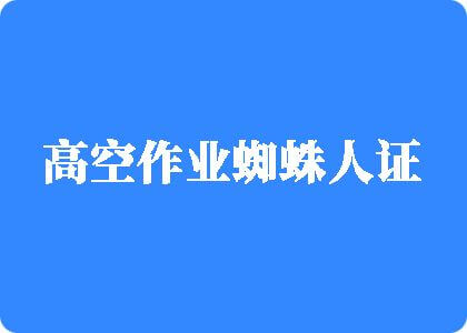 操逼啊啊操死我白虎逼再深一点再快一点啊哈啊啊啊嗯哼视频网站高空作业蜘蛛人证